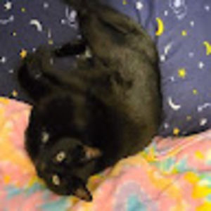 Meet your Posher, Lori